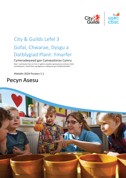 L3 Ccpld Assessment Pack Welsh V11 June24