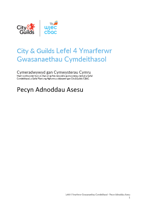8040 13 L4 Ssp Assessment Resource Pack Welsh