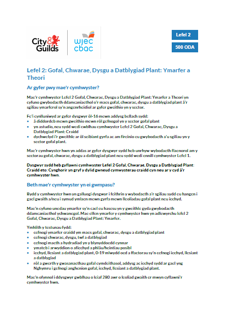 Descriptor L2 Ccpld Practice And Theory Updated Qualification Descriptor Cy Draft W
