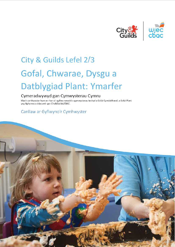 Assessment Delivery Guide L2 L3 Welsh V2 0 (2)