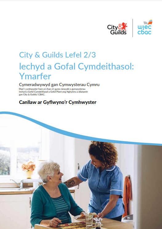 04 05 06 Assessment Delivery Guide L2 L3 Welsh V2 0 (1)