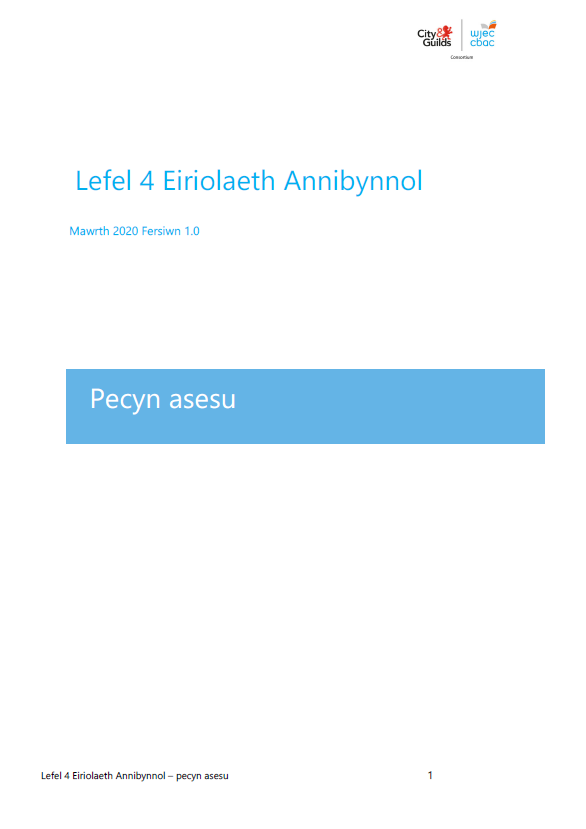 8040 08D L4 Independent Advocacy Assessment Pack Welsh