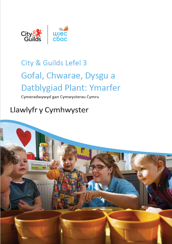L3 Ccpld Practice Handbook Welsh Version 13