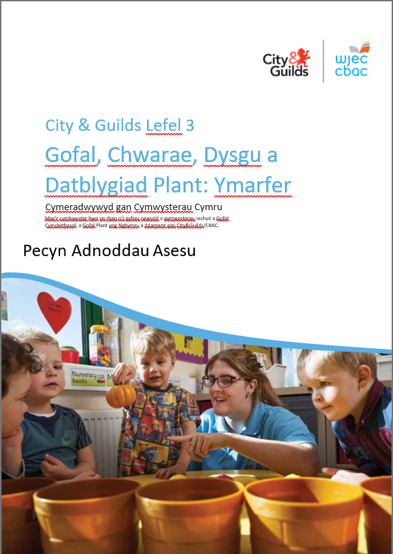 L3 Ccpld Assessment Resource Pack Welsh